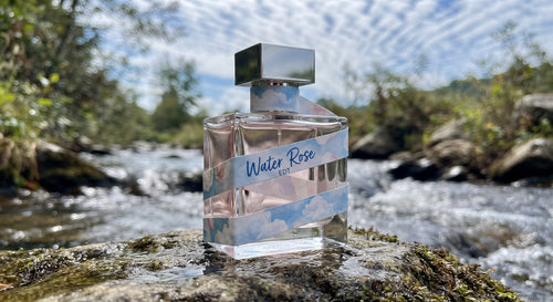 Water Rose